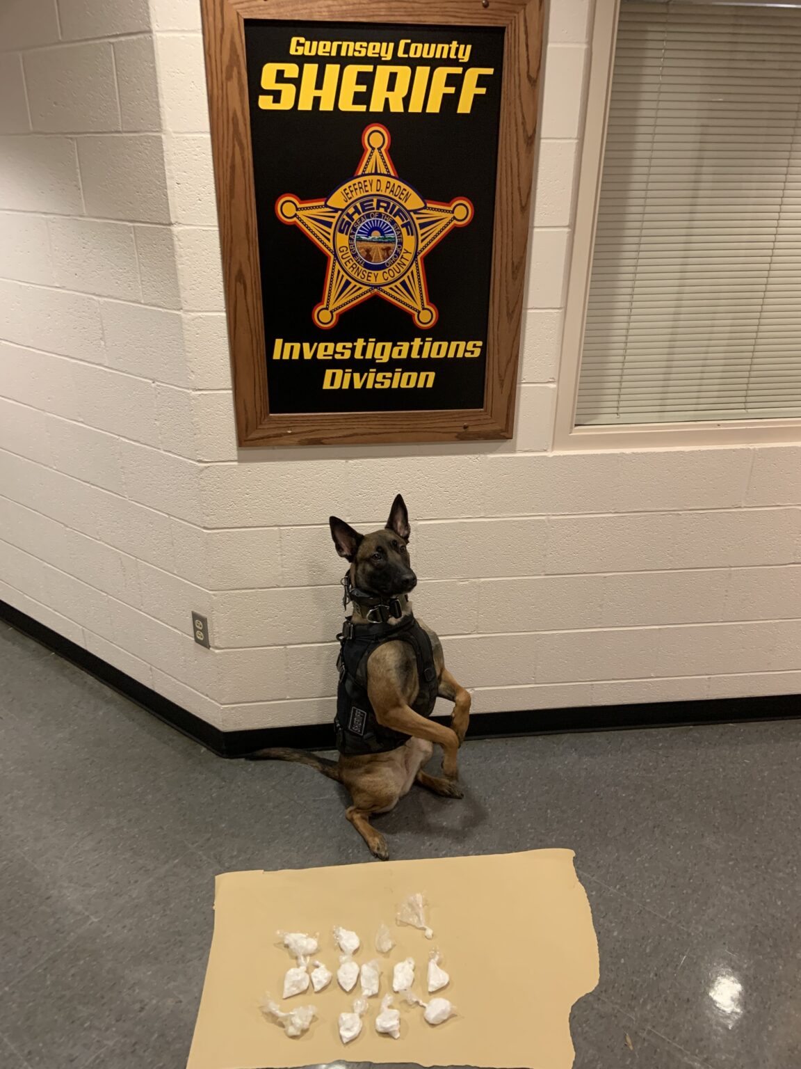 Cleveland Female Arrested For Trafficking Substantial Amount of Illicit